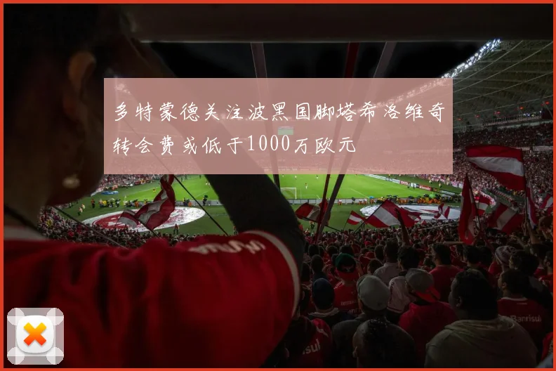 多特蒙德关注波黑国脚塔希洛维奇转会费或低于1000万欧元