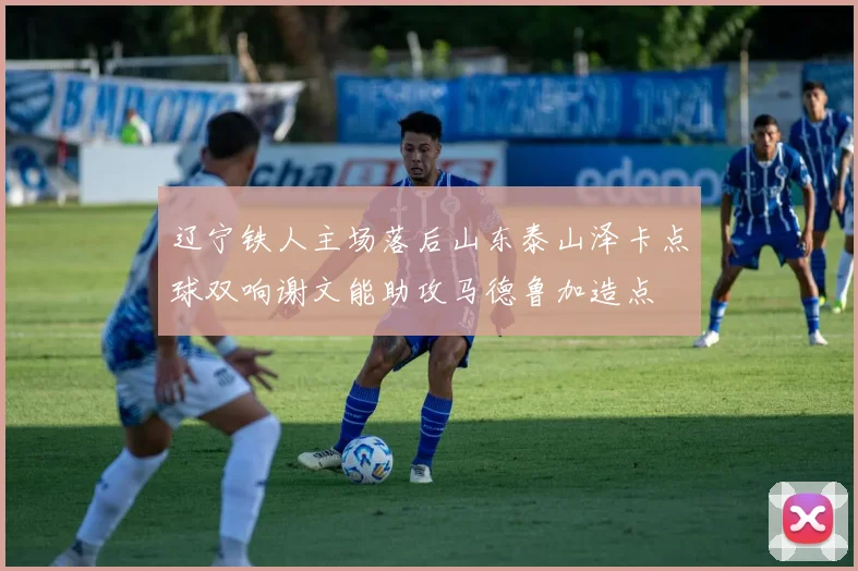 辽宁铁人主场落后山东泰山泽卡点球双响谢文能助攻马德鲁加造点